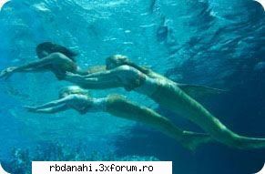 sirene h2o
